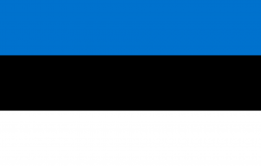 lahendan eesti keele koduseid töid